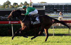 Scarlett Lady 2011 Queensland Oaks